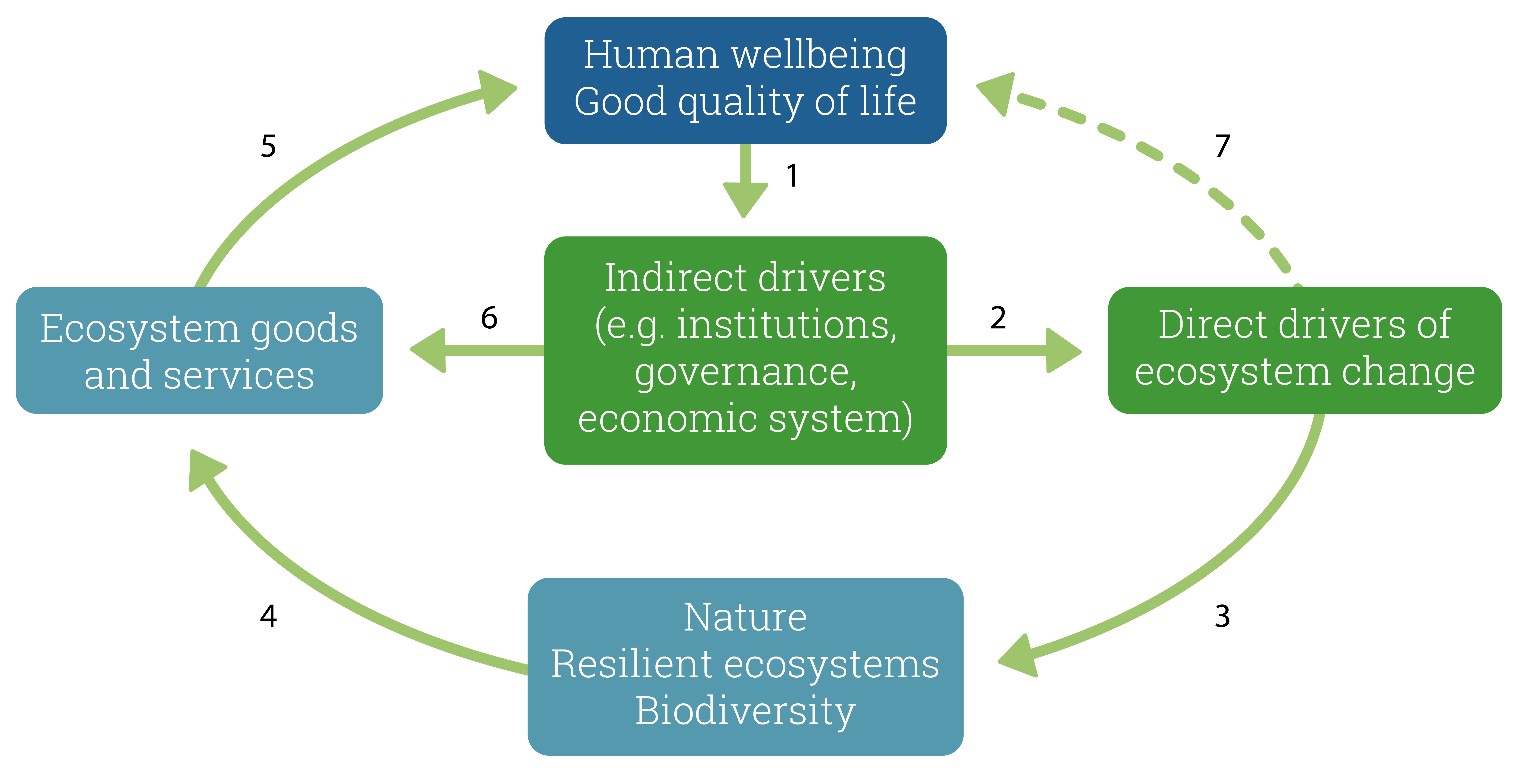 What Is Resilience? – SECORES – Network For Social-Ecological Resilience